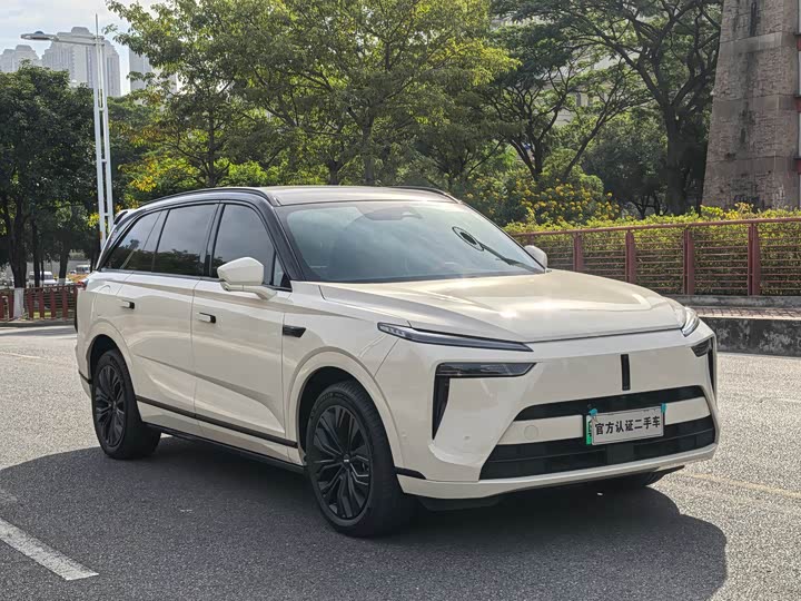 Фото 3 - Wey Lanshan