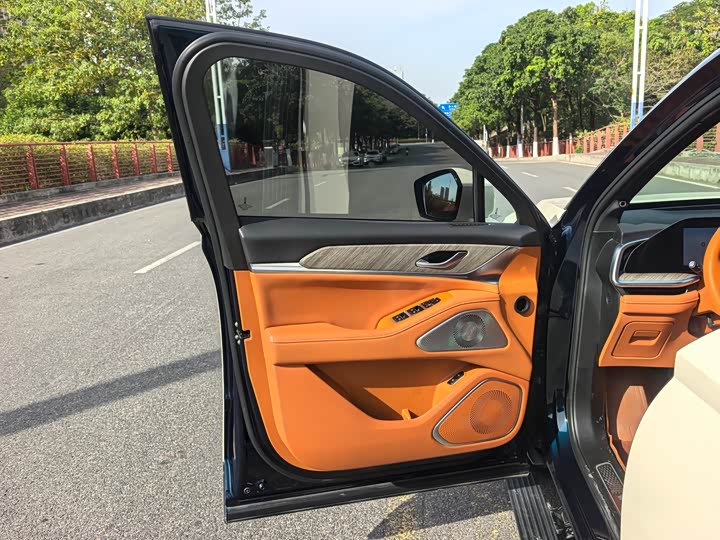 Фото 4 - Wey Lanshan