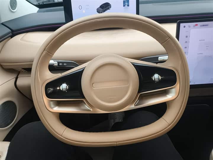 Фото 11 - Exeed Sterra ET