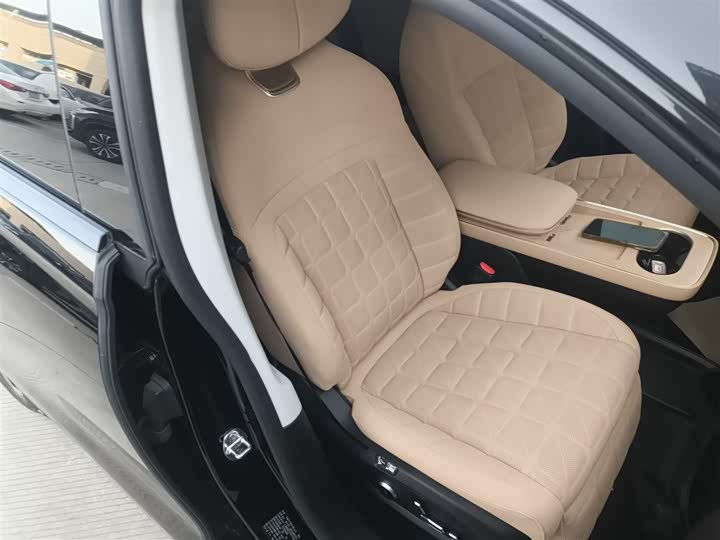 Фото 25 - Exeed Sterra ET