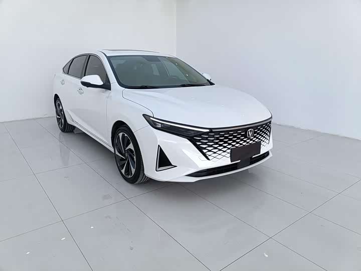 Фото 2 - Changan Raeton Plus