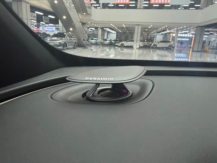 Фото 13 - XPeng G9