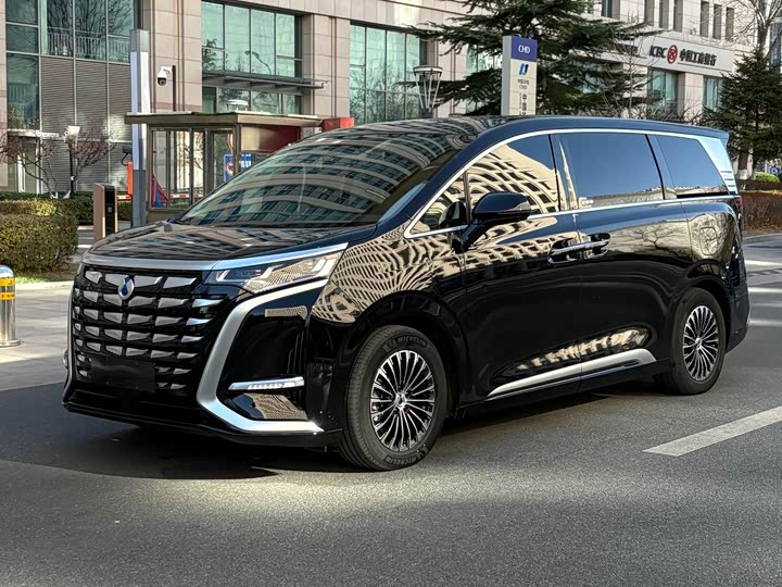 Фото 1 - Denza D9