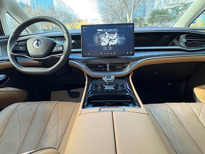 Фото 10 - Denza D9