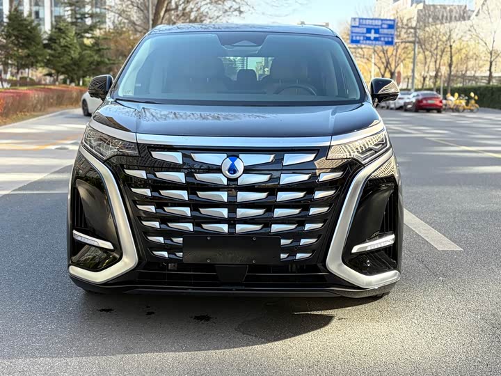 Фото 2 - Denza D9