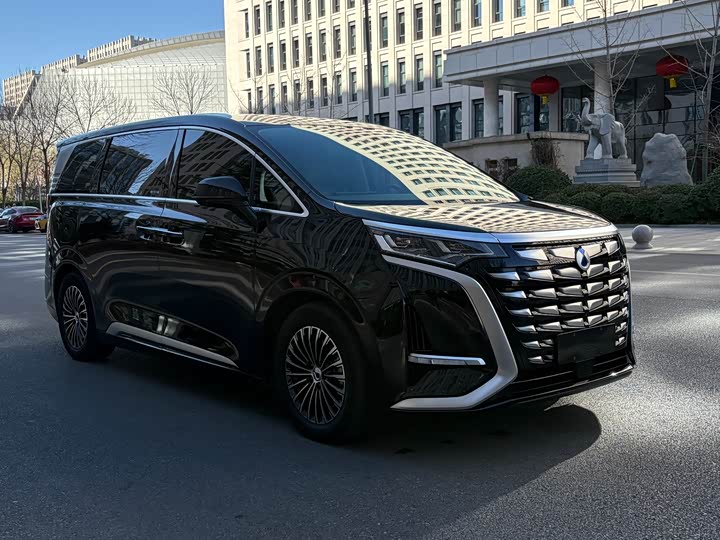 Фото 3 - Denza D9