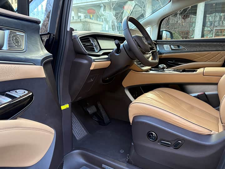 Фото 8 - Denza D9