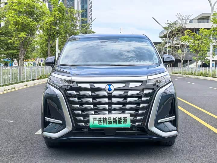 Фото 2 - Denza D9