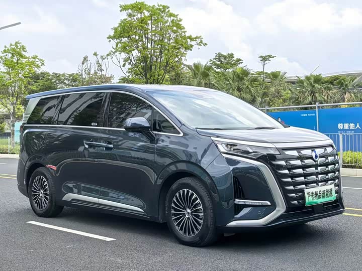 Фото 3 - Denza D9