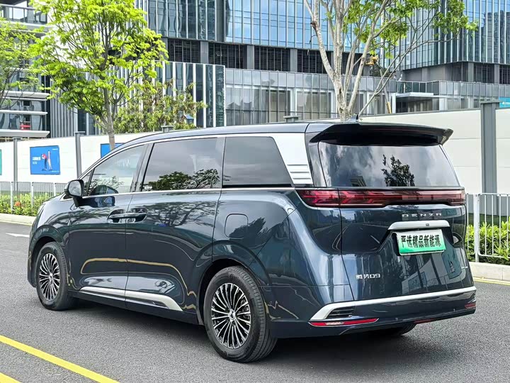 Фото 4 - Denza D9