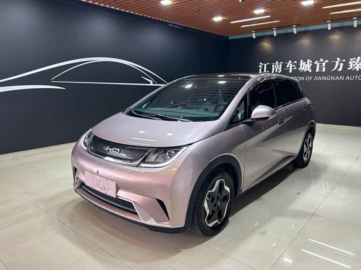 Фото 1 - BYD Dolphin