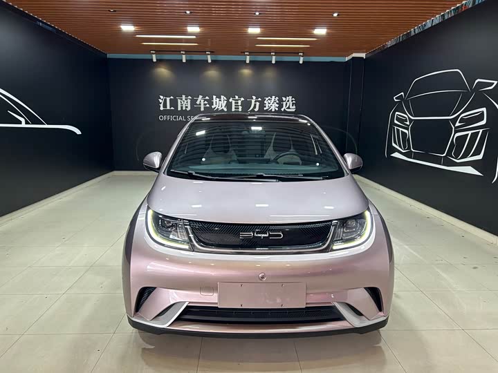 Фото 2 - BYD Dolphin