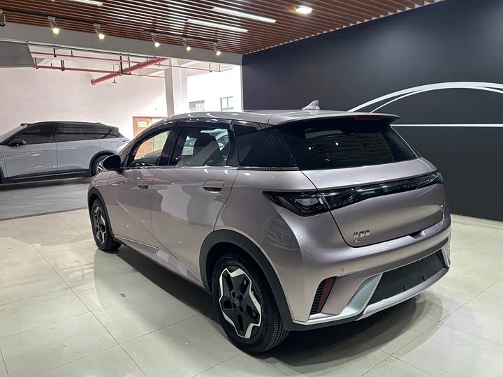 Фото 6 - BYD Dolphin