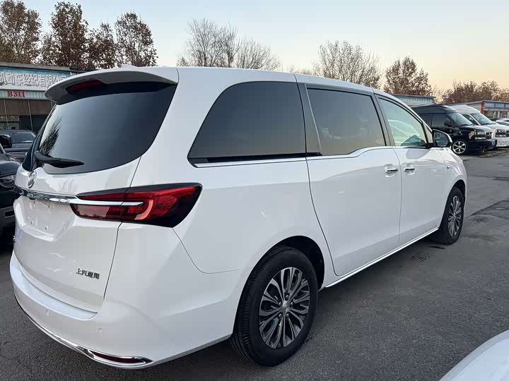 Фото 12 - Buick GL8 ES