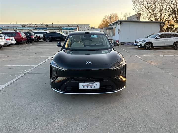 Фото 2 - IM motors LS6