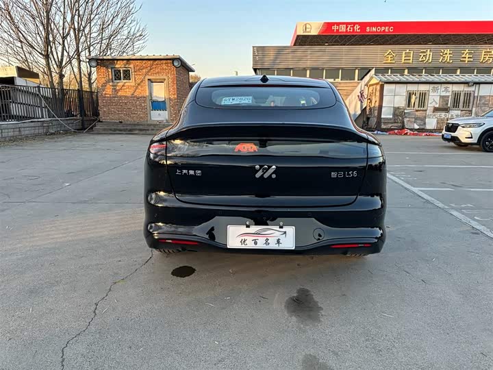 Фото 5 - IM motors LS6