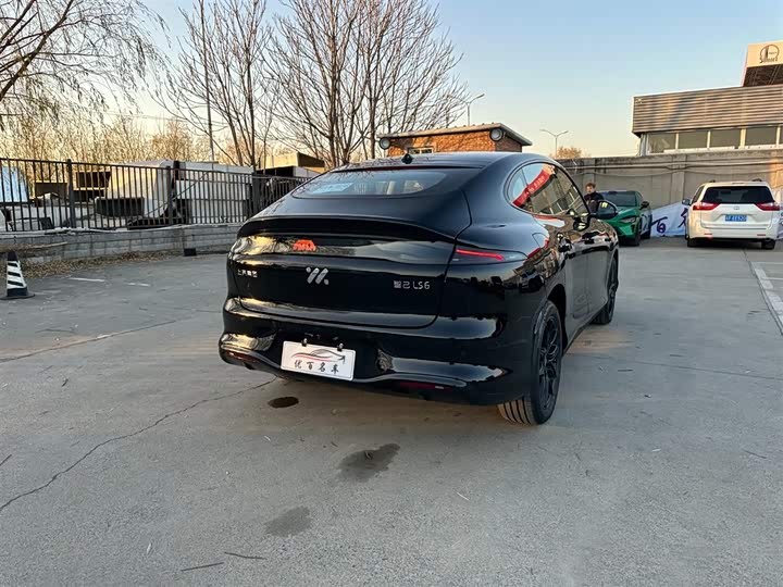 Фото 6 - IM motors LS6