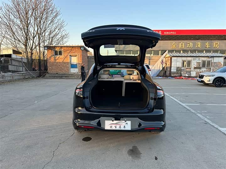 Фото 8 - IM motors LS6