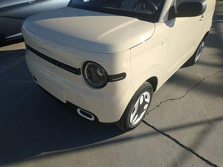 Фото 24 - Geely Galaxy Panda Mini