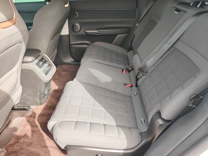 Фото 11 - Exeed Sterra ET