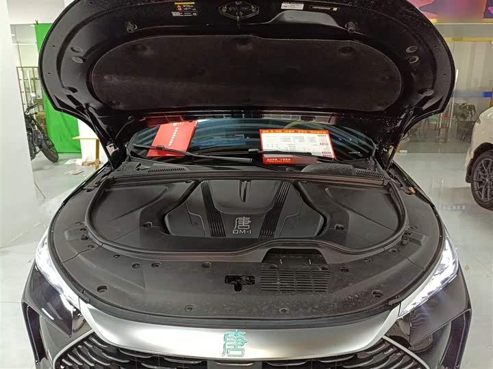 Фото 20 - BYD Tang Hybrid/EV