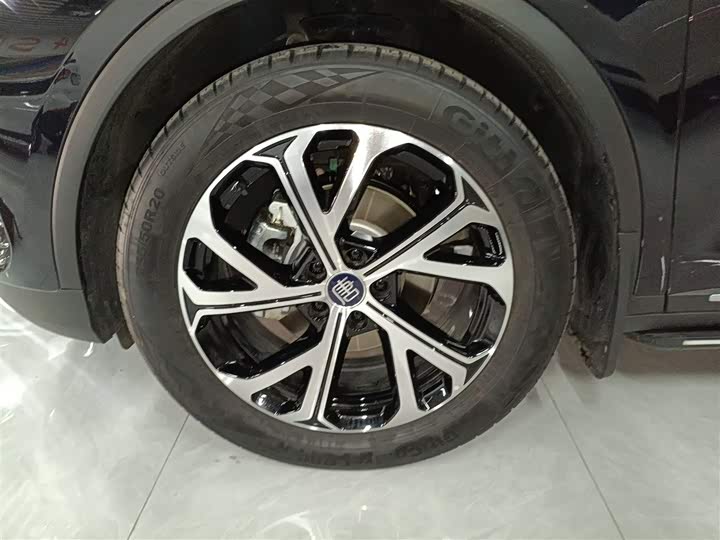 Фото 23 - BYD Tang Hybrid/EV