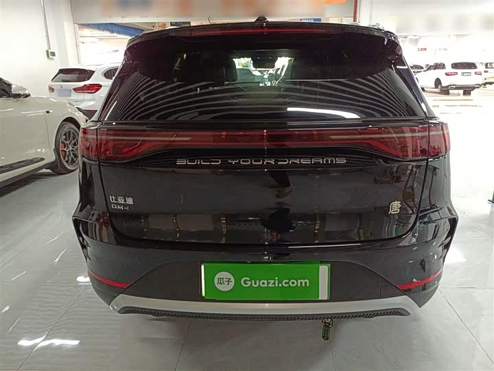 Фото 6 - BYD Tang Hybrid/EV