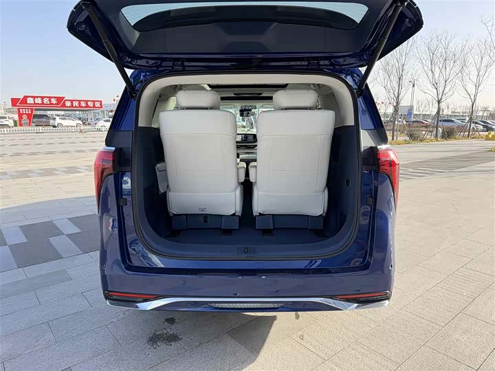 Фото 25 - Buick GL8 Century