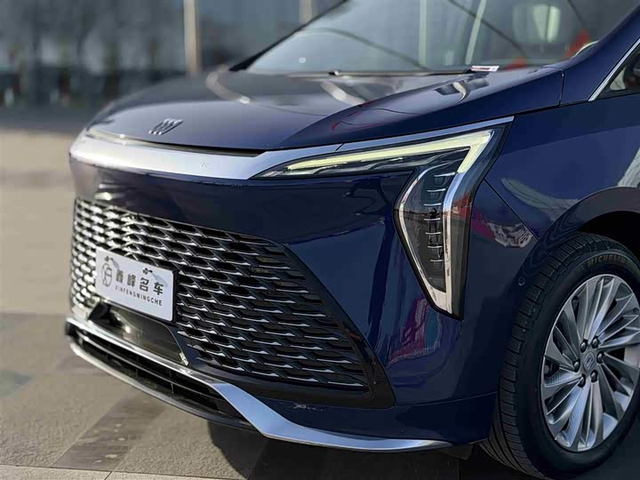 Фото 28 - Buick GL8 Century