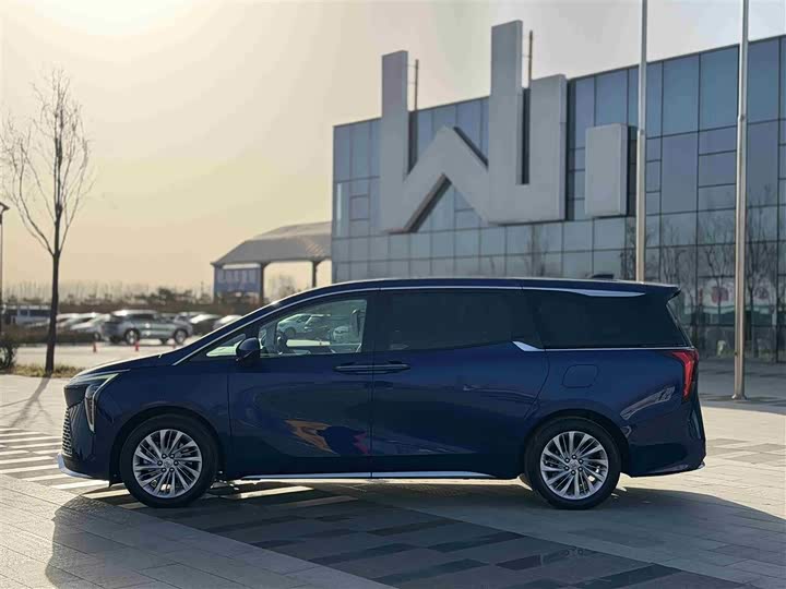 Фото 29 - Buick GL8 Century