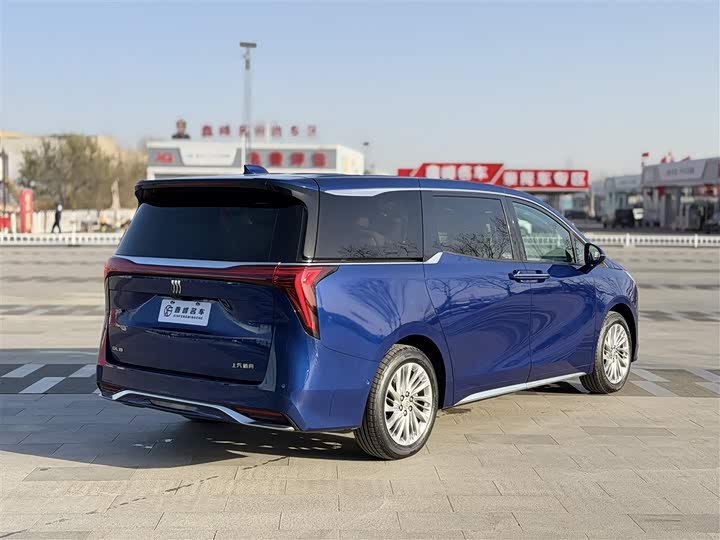 Фото 30 - Buick GL8 Century