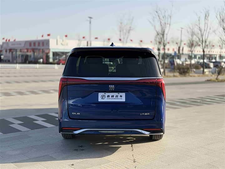 Фото 31 - Buick GL8 Century