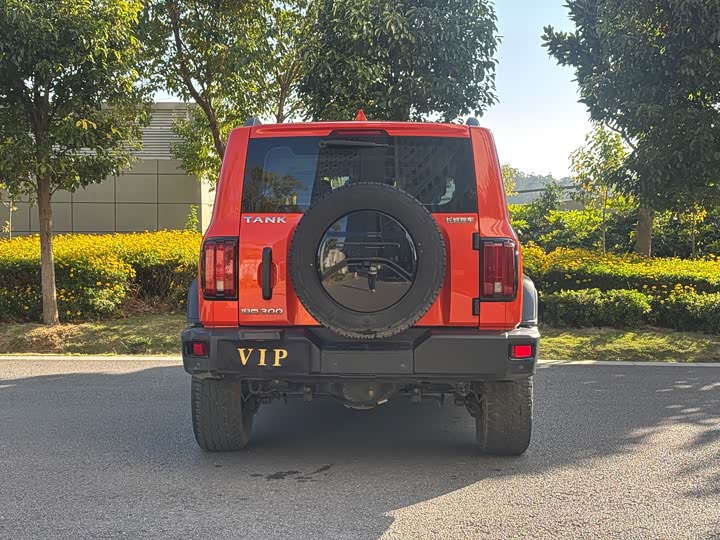 Фото 6 - Tank 300