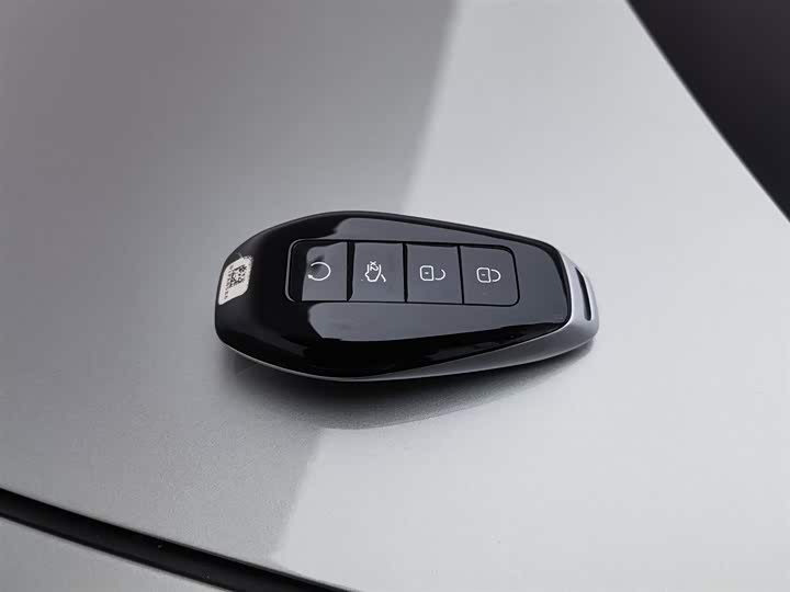 Фото 19 - Denza Z9GT