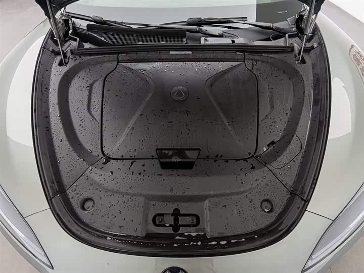 Фото 6 - Denza Z9GT