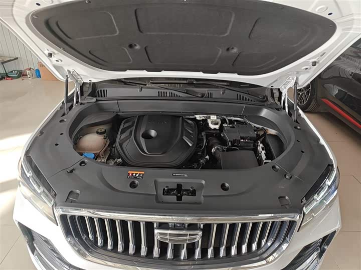 Фото 20 - Geely Monjaro