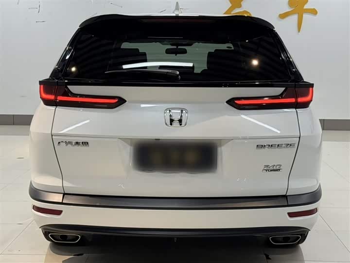 Фото 14 - Honda Breeze