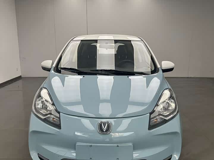 Фото 2 - Changan BenBen E-Star