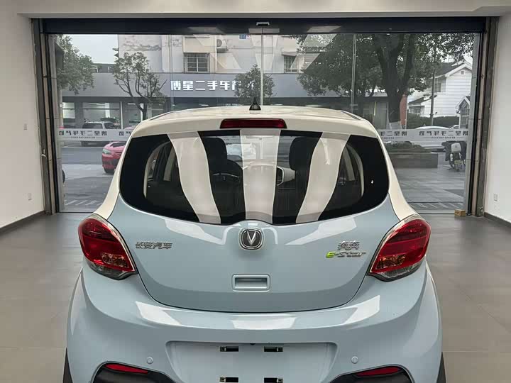 Фото 8 - Changan BenBen E-Star