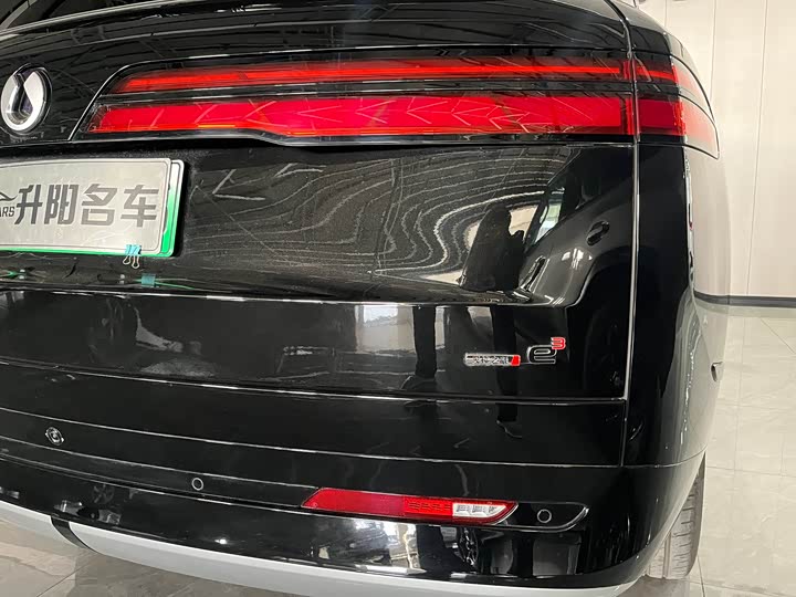 Фото 10 - Denza N9