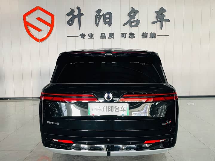 Фото 4 - Denza N9