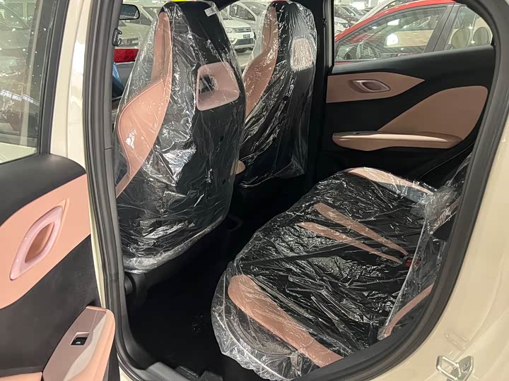 Фото 3 - BYD Seagull