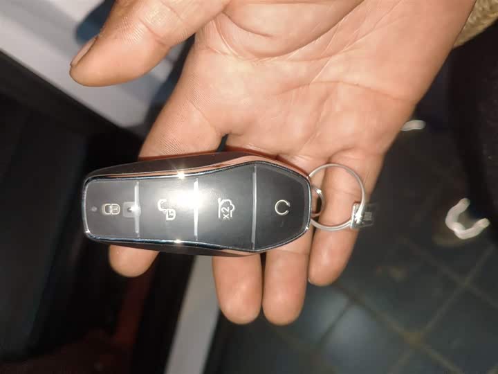 Фото 9 - BYD Qin L