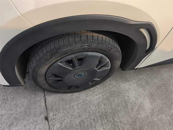 Фото 23 - BYD Seagull