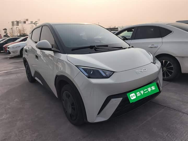 Фото 4 - BYD Seagull