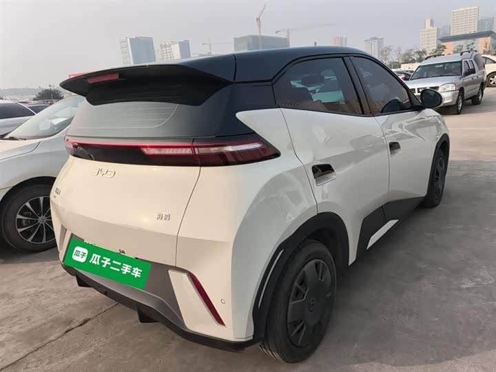 Фото 7 - BYD Seagull