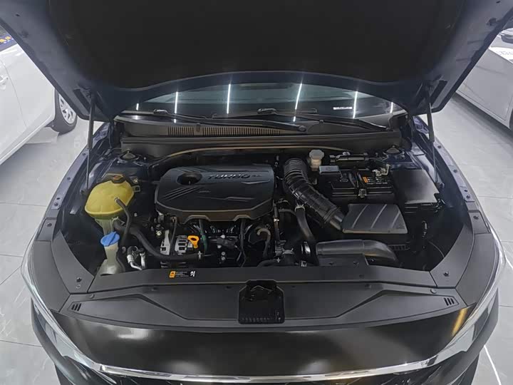 Фото 20 - Hyundai Lafesta