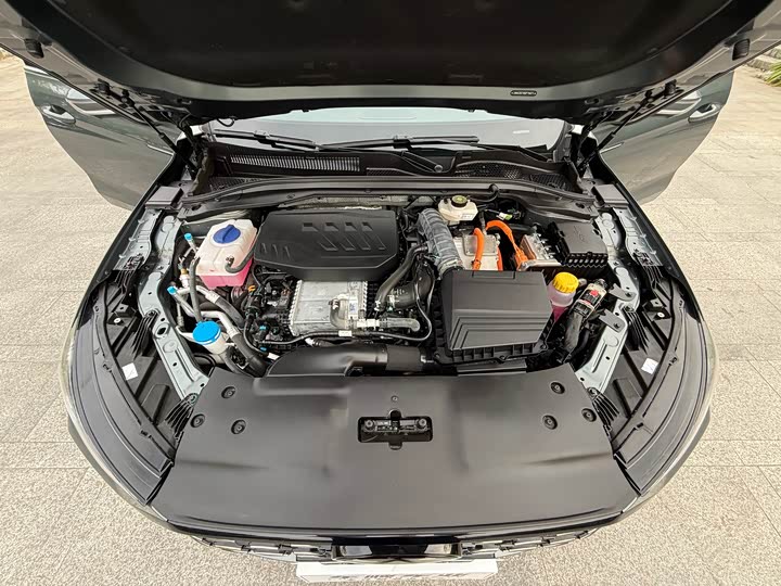 Фото 29 - Chery Fulwin A8L