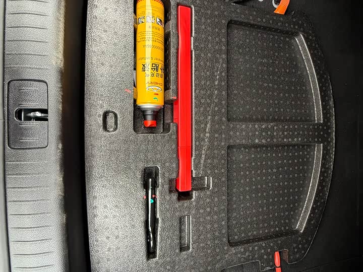 Фото 33 - Chery Fulwin A8L