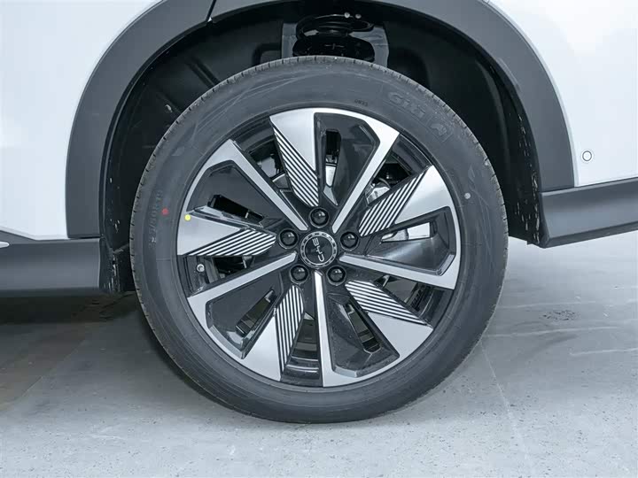 Фото 11 - BYD Song Plus Hybrid/EV